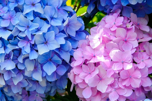 6月、ちょっと落ち着いてきた今。“働き方”見直してみませんか?