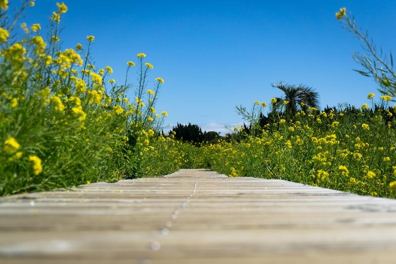 ヘルパーって、実はすごくあたたかい仕事です。