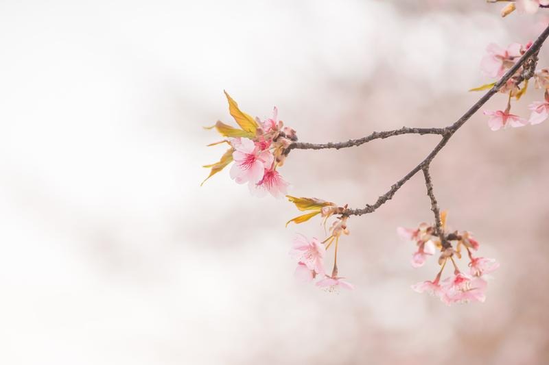 Pro-Stageが大切にしている想い