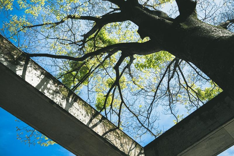 Pro-Stageが大切にしている想い