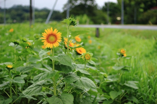 “ただの介助”じゃない。“その人らしさ”を支える仕事