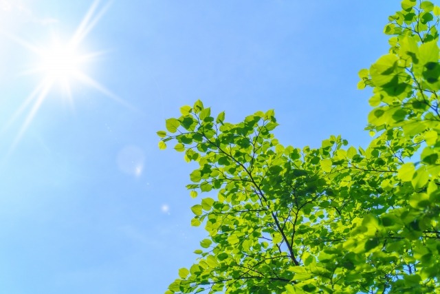 暑い日が続いてますね。