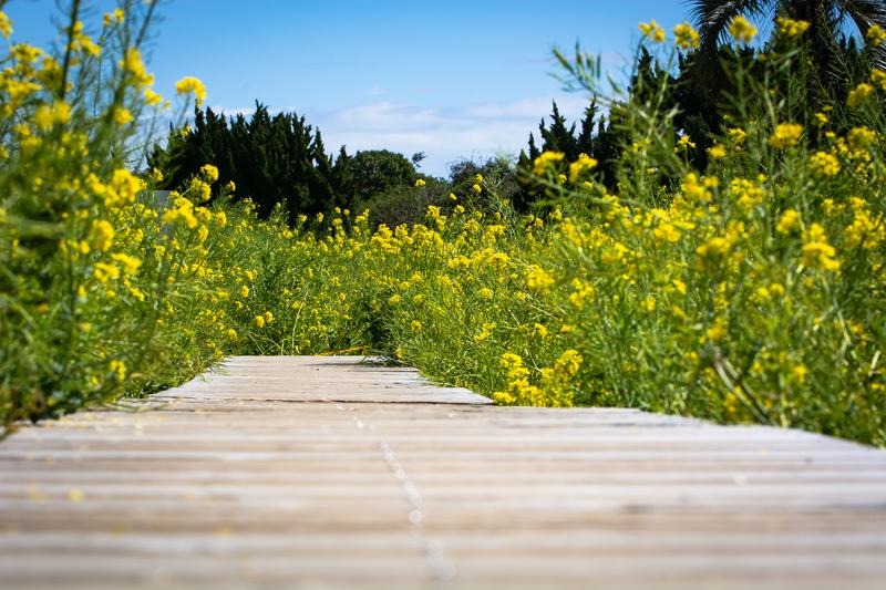 “人の暮らしを支える”という選択肢